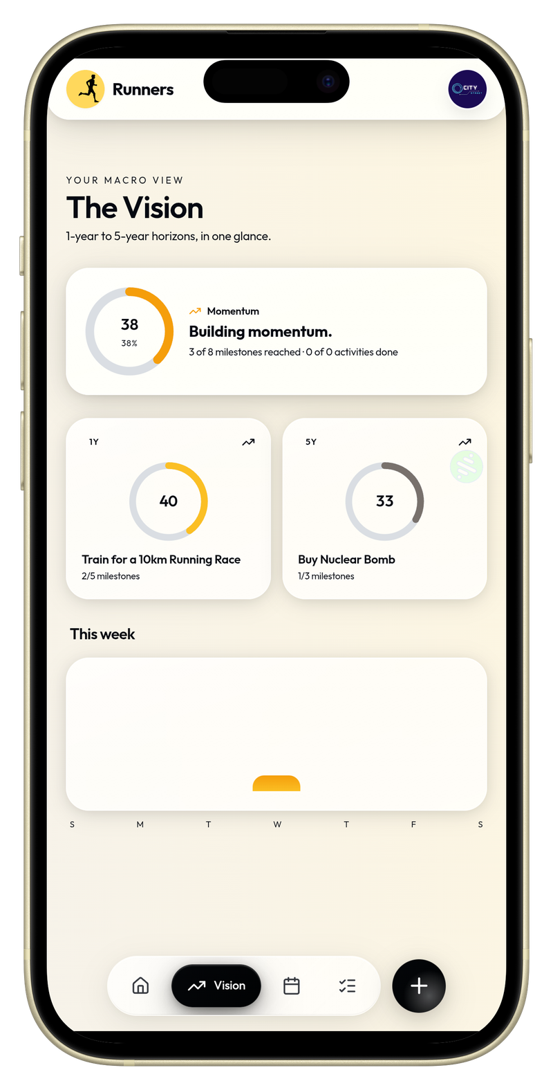 Vision view - Aspirations and roadmap